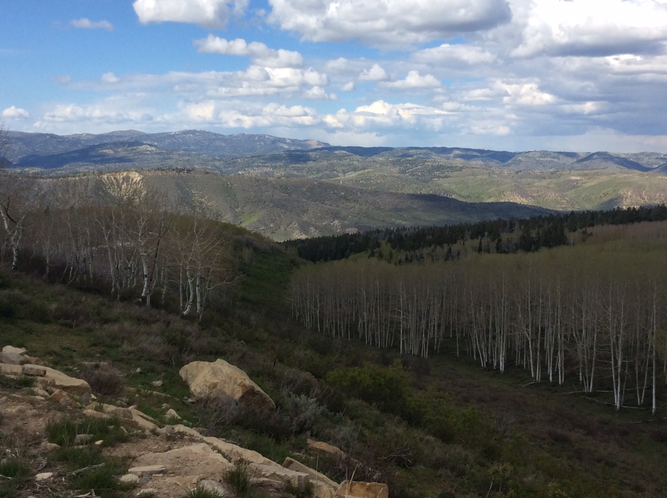 Home Soldier Summit Estates